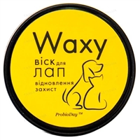 За лапами
