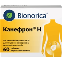 Мочеполовая система и половые гормоны