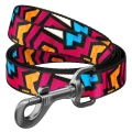 Поводок Collar WAUDOG Nylon рисунок Граффити, ширина 20 мм длина 122 см