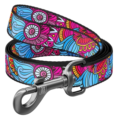 Поводок Collar WAUDOG Nylon рисунок Лето, ширина 15 мм длина 122 см