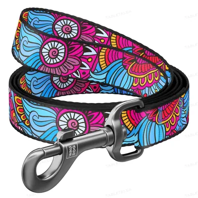 Повідець Collar WAUDOG Nylon малюнок Літо, ширина 15 мм довжина 122 см