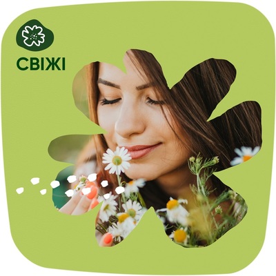 Прокладки щоденні Naturella Camomile Light, 100 шт