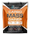 Гейнер Powerful Progress Carbo Mass Gainer chocolate, 2 кг