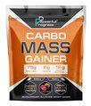 Гейнер Powerful Progress Carbo Mass Gainer forest fruit, 2 кг
