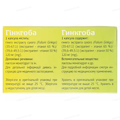 Гінкгоба капсули по 120 мг №60 (10х6)