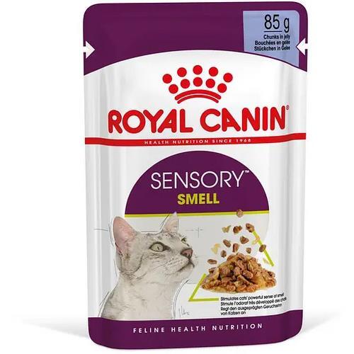 Корм влажный для кошек Royal Canin Sensory Smell Gravy привередливых к еде, 85 г