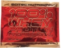 Протеин Scitec Nutrition 100% Whey Protein Professional, банан, 30 г