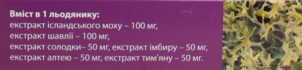 Лордикаф Fidem Pharm леденцы со вкусом черной смородины №16