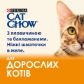 Корм влажный для кошек Purina Cat Chow Adult с говядиной и баклажанами в желе, 85 г