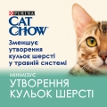 Корм влажный для кошек Purina Cat Chow Hairball для выведения шерсти с курицей и зеленой фасолью в желе, 85 г