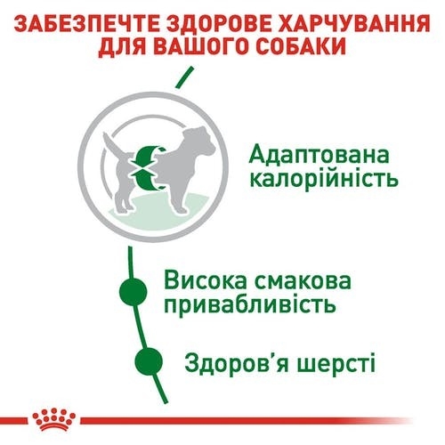 Корм сухой для собак Royal Canin Mini Adult, 4 кг