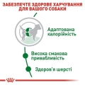 Корм сухой для собак Royal Canin Mini Adult, 4 кг