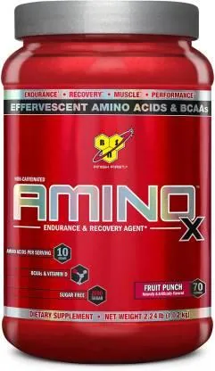 Амінокислота BSN Amino X Fruit Punch, 1.01 кг