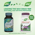 Оливи листя екстракт Nature's Way Olive Leaf Standardized Extract, 60 веганських капсул
