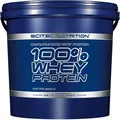 Протеїн сироватковий концентрат Scitec Nutrition 100% Whey Protein шоколад - м'ята, 5 кг