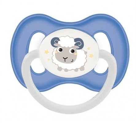 Пустышка силиконовая Canpol Babies Bunny & Company симметричная 23/270_blu, 18+ месяцев, 1 шт