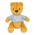 Мягкая игрушка Tigres (ВЕ-0207) Мишка Дэнни Thank you 25 см