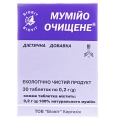 Мумие очищенное Биовит таблетки по 0,2 г №30