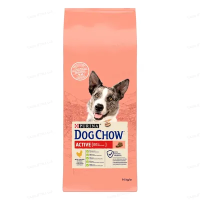 Корм сухий для дорослих активних собак Purina Dog Chow Active Adult зі смаком курки, 14 кг