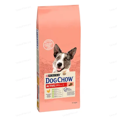 Корм сухий для дорослих активних собак Purina Dog Chow Active Adult зі смаком курки, 14 кг