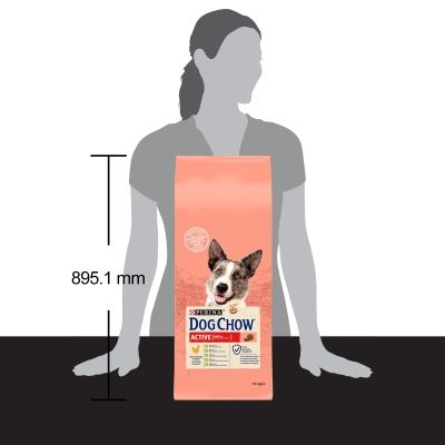 Корм сухий для дорослих активних собак Purina Dog Chow Active Adult зі смаком курки, 14 кг