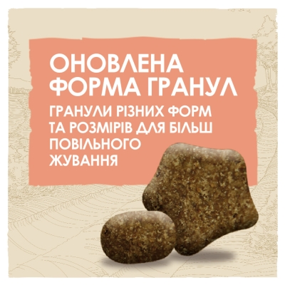 Корм сухий для дорослих активних собак Purina Dog Chow Active Adult зі смаком курки, 14 кг