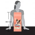 Корм сухий для дорослих активних собак Purina Dog Chow Active Adult зі смаком курки, 14 кг