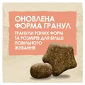 Корм сухий для дорослих активних собак Purina Dog Chow Active Adult зі смаком курки, 14 кг