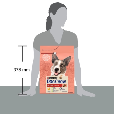 Корм сухий для дорослих активних собак Purina Dog Chow Active Adult зі смаком курки, 2,5 кг