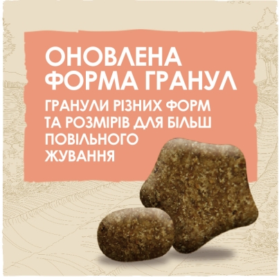Корм сухий для дорослих активних собак Purina Dog Chow Active Adult зі смаком курки, 2,5 кг