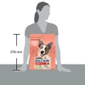 Корм сухий для дорослих активних собак Purina Dog Chow Active Adult зі смаком курки, 2,5 кг