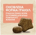 Корм сухий для дорослих активних собак Purina Dog Chow Active Adult зі смаком курки, 2,5 кг