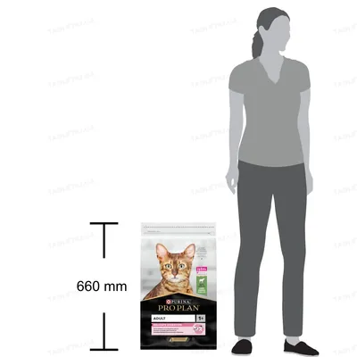 Корм сухий для дорослих котів Purina Pro Plan Delicate Lamb зі смаком ягняти, 10 кг
