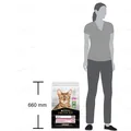 Корм сухий для дорослих котів Purina Pro Plan Delicate Lamb зі смаком ягняти, 10 кг