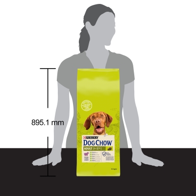 Корм сухой для взрослых собак Purina Dog Chow Adult Lamb со вкусом ягненка, 14 кг