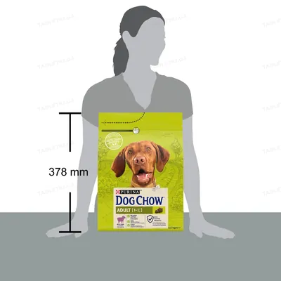 Корм сухий для дорослих собак Purina Dog Chow Adult Lamb зі смаком ягняти, 2,5 кг