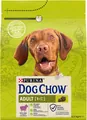 Корм сухий для дорослих собак Purina Dog Chow Adult Lamb зі смаком ягняти, 2,5 кг