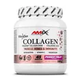 Колаген Amix Nutrition Collagen Viscofan Drink лісові ягоди, 300 г