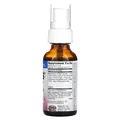 Спрей для горла заспокійливий Herbs Etc Singer's Soothing Throat Spray без спирту професійний, 30 мл