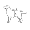 Попона послеоперационная Collar №3