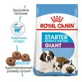Корм сухий для собак Royal Canin Giant Starter, 4 кг