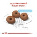 Корм сухой для собак Royal Canin Giant Starter, 4 кг
