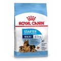 Корм сухой для собак Royal Canin Maxi Starter, 4 кг
