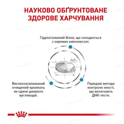 Корм сухий для собак Royal Canin Anallergenic, 3 кг