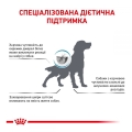 Корм сухий для собак Royal Canin Anallergenic, 3 кг