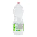 Вода мінеральна San Benedetto EcoGreen негазована, 1 л