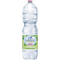 Вода минеральная San Benedetto EcoGreen негазированная, 2 л