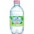 Вода мінеральна San Benedetto EcoGreen негазована, 0,33 л