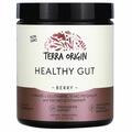 Здоровый кишечник Terra Origin Healthy Gut со вкусом ягод, 243 г