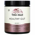 Здоровий кишечник Terra Origin Healthy Gut зі смаком ягід, 243 г